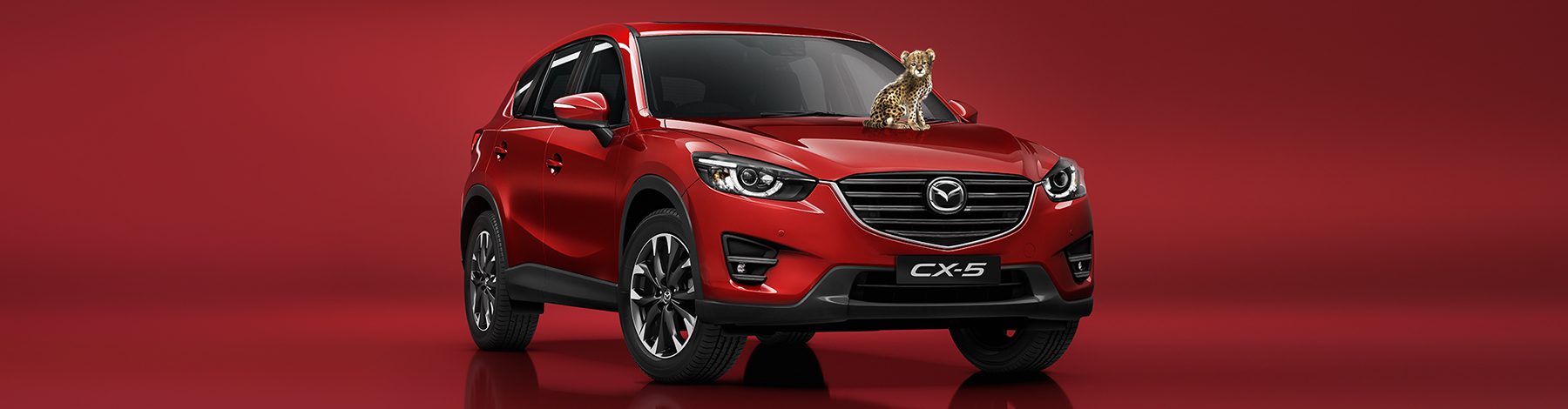 cx5 2015 overview hero 2 - cx5-2015-overview-hero-2